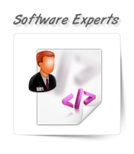 Software Development Experts